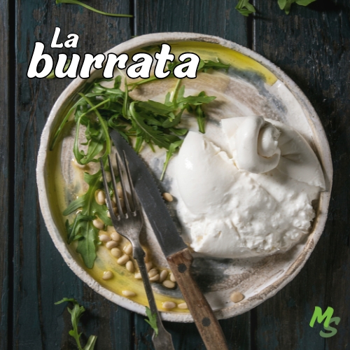 Burrata : le trésor crémeux venu d’Italie à découvrir absolument